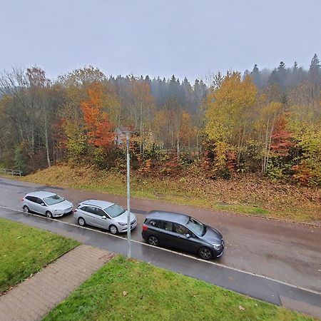 2 Rooms Apartment In Triberg Triberg im Schwarzwald Екстер'єр фото