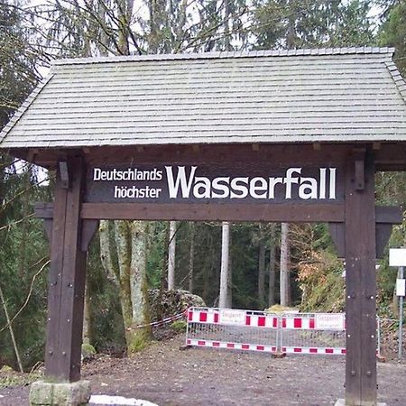 2 Rooms Apartment In Triberg Triberg im Schwarzwald Екстер'єр фото