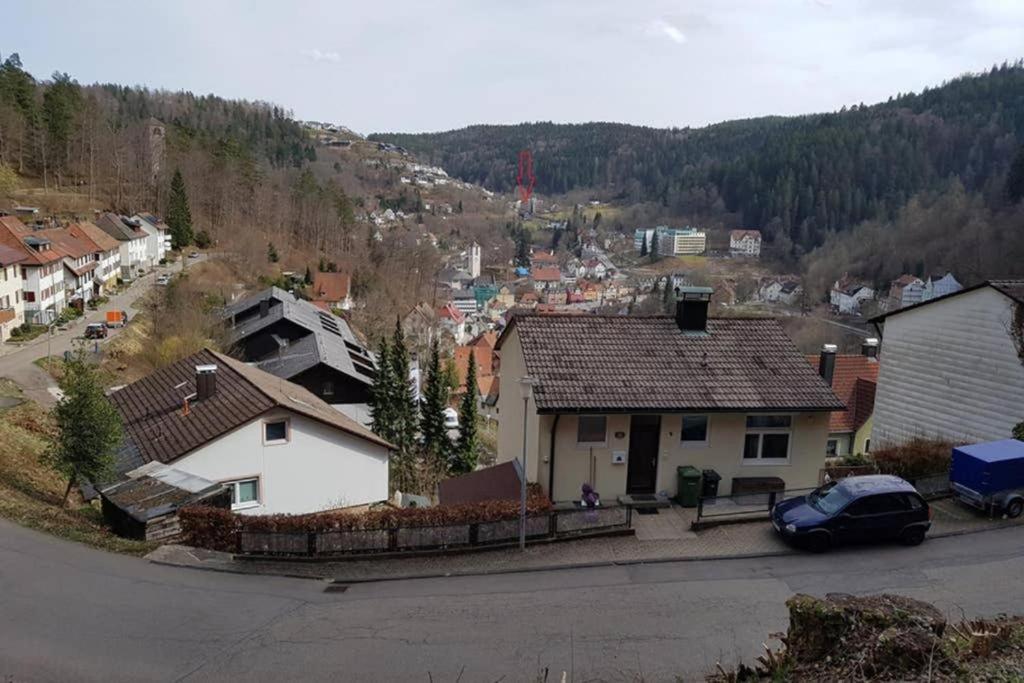 2 Rooms Apartment In Triberg Triberg im Schwarzwald Екстер'єр фото