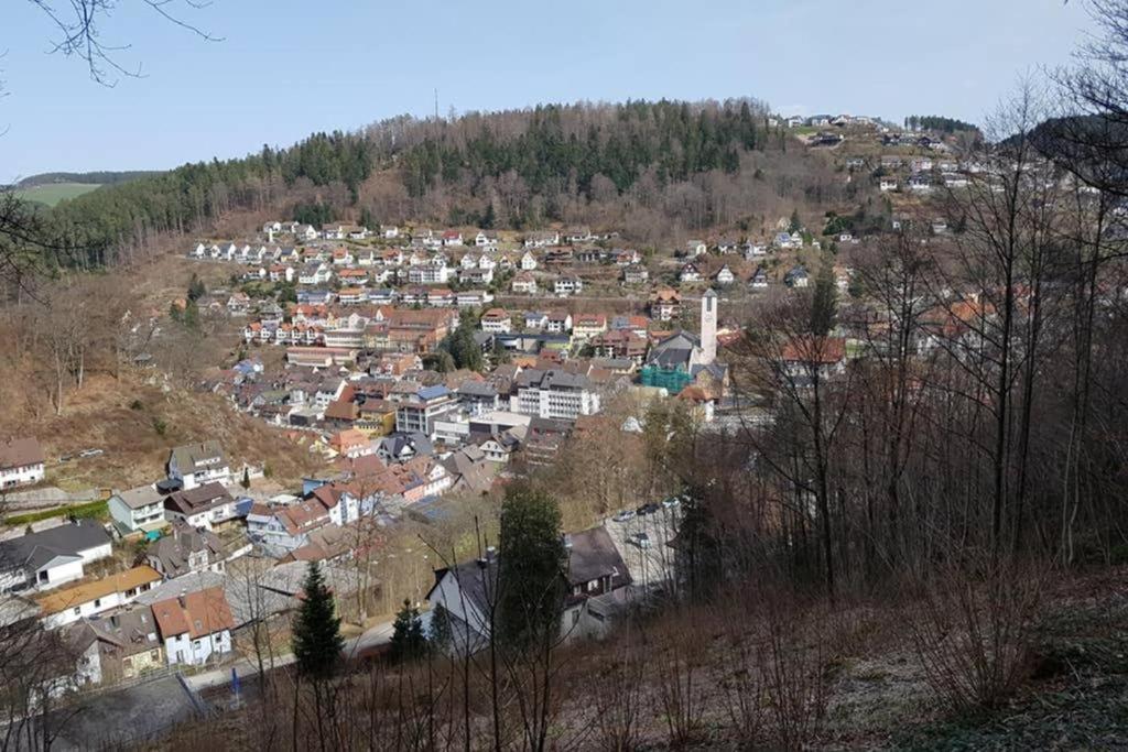 2 Rooms Apartment In Triberg Triberg im Schwarzwald Екстер'єр фото