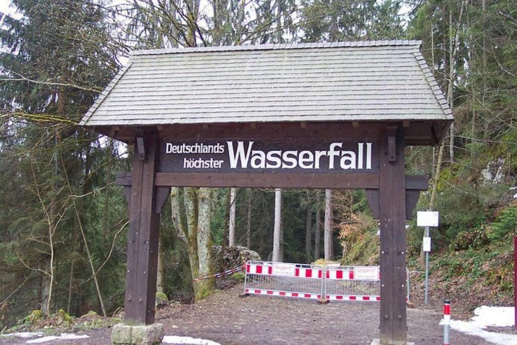 2 Rooms Apartment In Triberg Triberg im Schwarzwald Екстер'єр фото